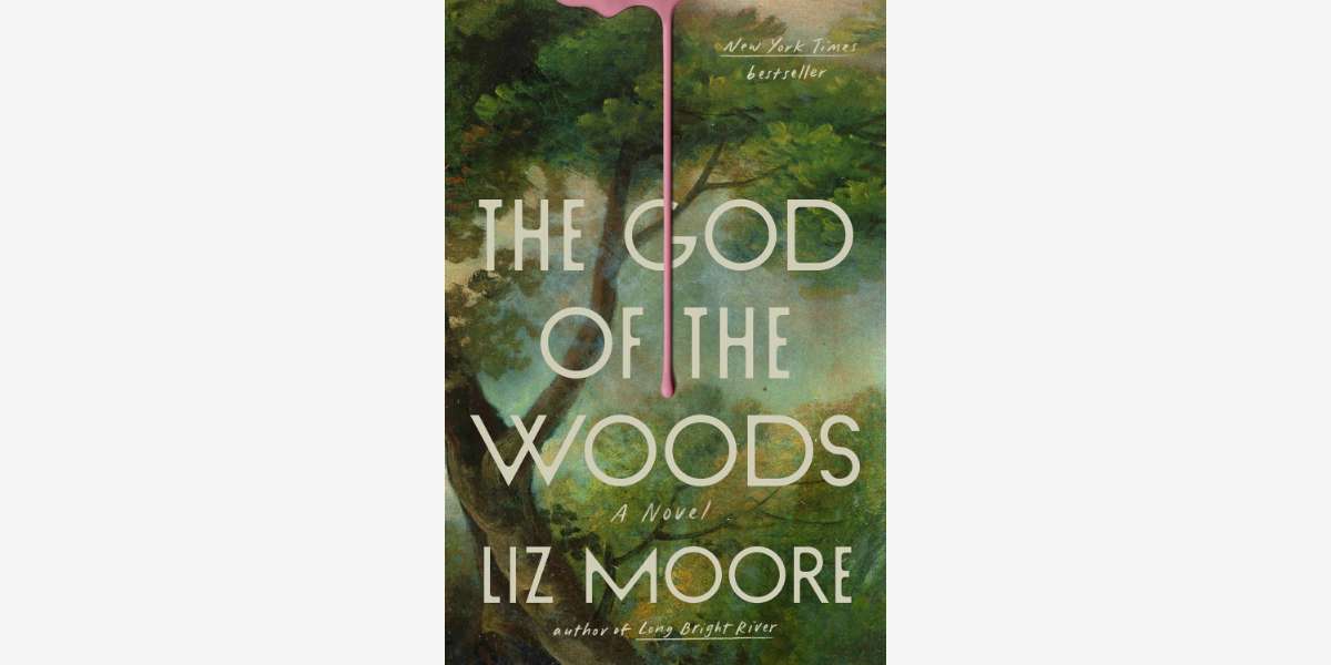 Quotes from The God of the Woods book by Liz Moore - Cover